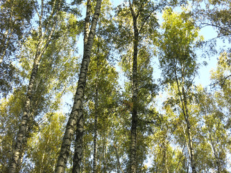 Similar image 21353885