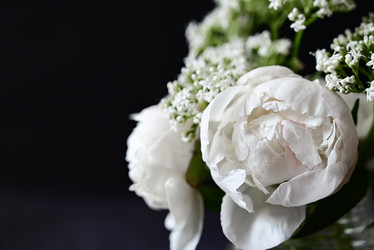 Similar image 21357412