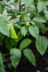 Similar image 21357414