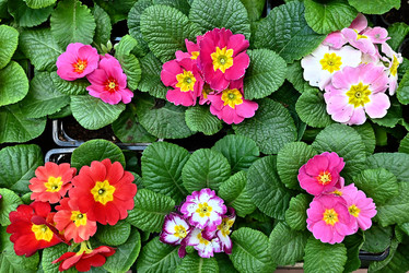 Similar image 21357415