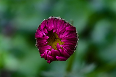 Similar image 21357427