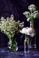 Similar image 21357433