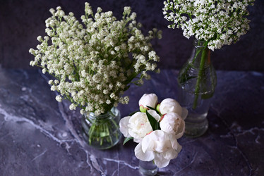 Similar image 21357434