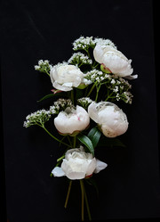 Similar image 21357438