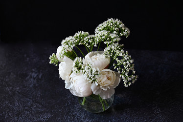 Similar image 21357440