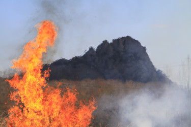 Similar image 21355342