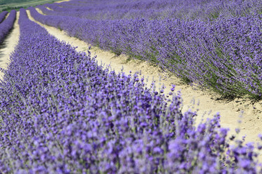 Similar image 21354214