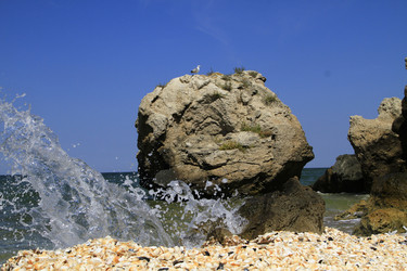 Similar image 21355344