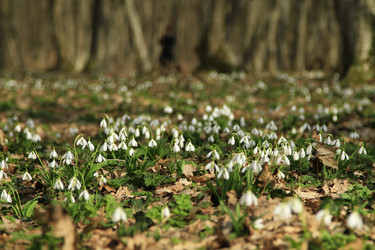 Similar image 21355347