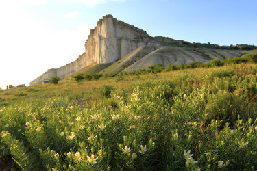 Similar image 21355348