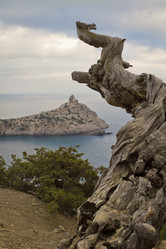 Similar image 21355349