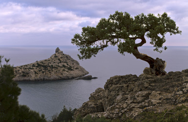 Similar image 21355350