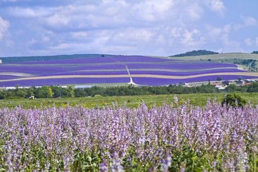 Similar image 21354216