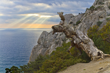 Similar image 21355353