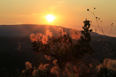 Similar image 21361011