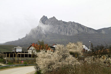 Similar image 21355356