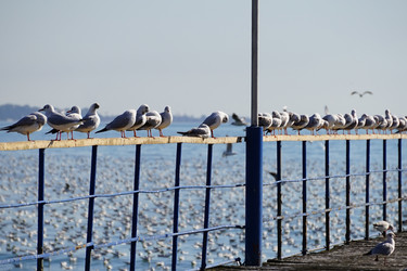 Similar image 21353886