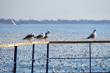 Similar image 21353887