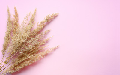 Similar image 21354138