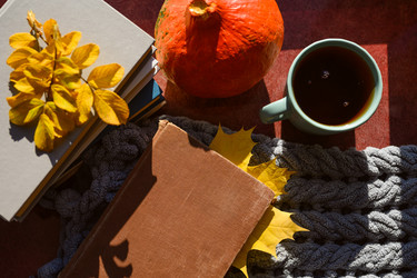 Similar image 21355505