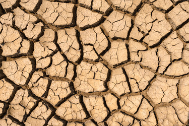 Similar image 21354837