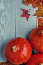 Similar image 21355365