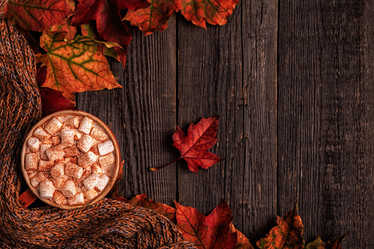 Similar image 21354841