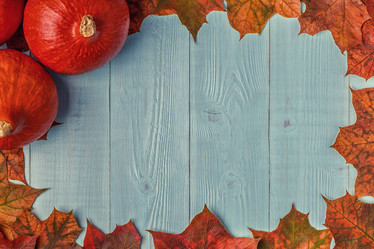 Similar image 21354843