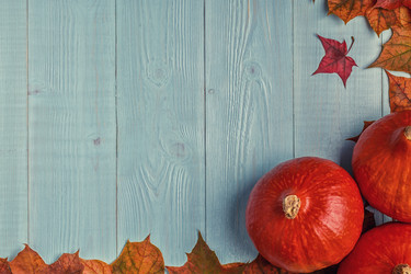 Similar image 21354845