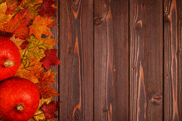 Similar image 21354947