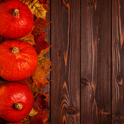 Similar image 21354951