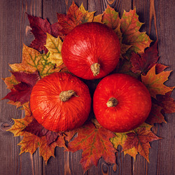 Similar image 21354954