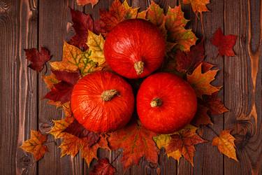 Similar image 21354955