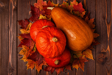 Similar image 21354957