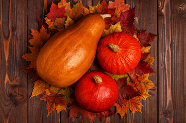 Similar image 21354959