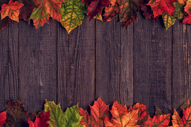 Similar image 21354963