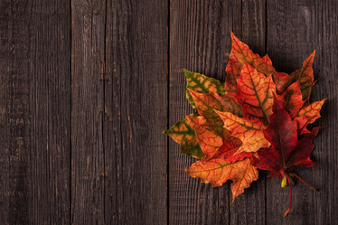 Similar image 21354966