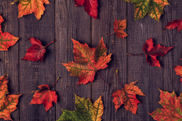 Similar image 21354967