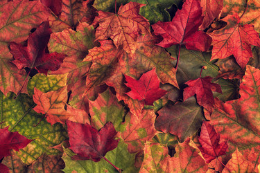 Similar image 21354971