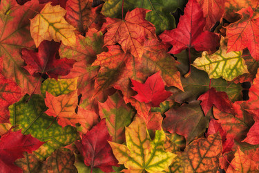 Similar image 21354978