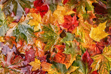 Similar image 21354979