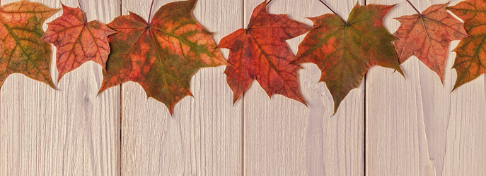 Similar image 21354983