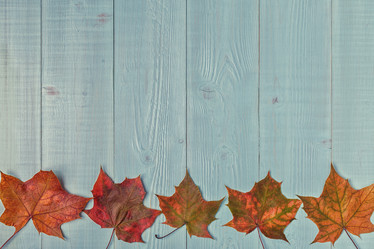 Similar image 21354985