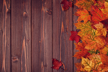 Similar image 21354987