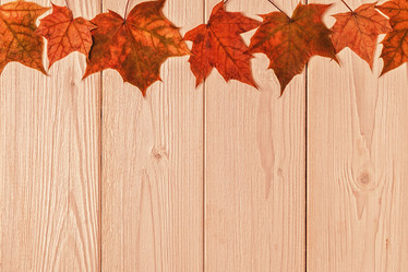 Similar image 21354989