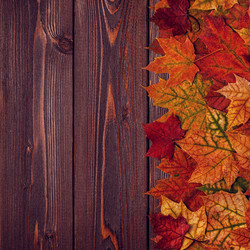 Similar image 21354990