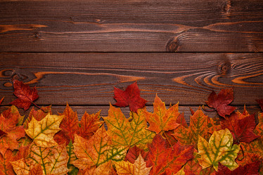 Similar image 21354992