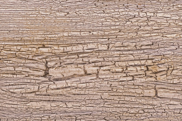 Similar image 21354995