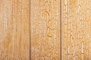 Similar image 21355009