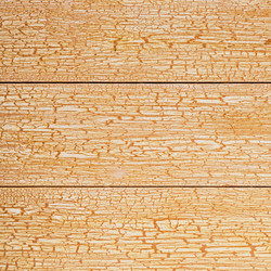 Similar image 21355010